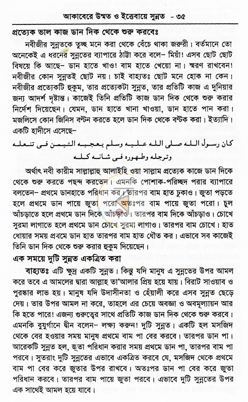 পাতা 8