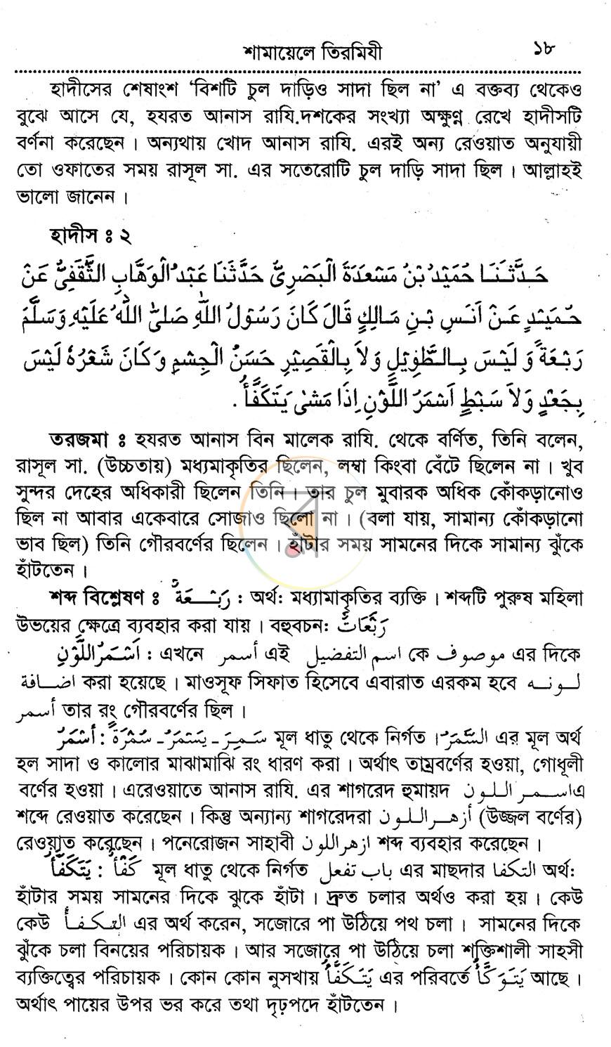 পাতা 10