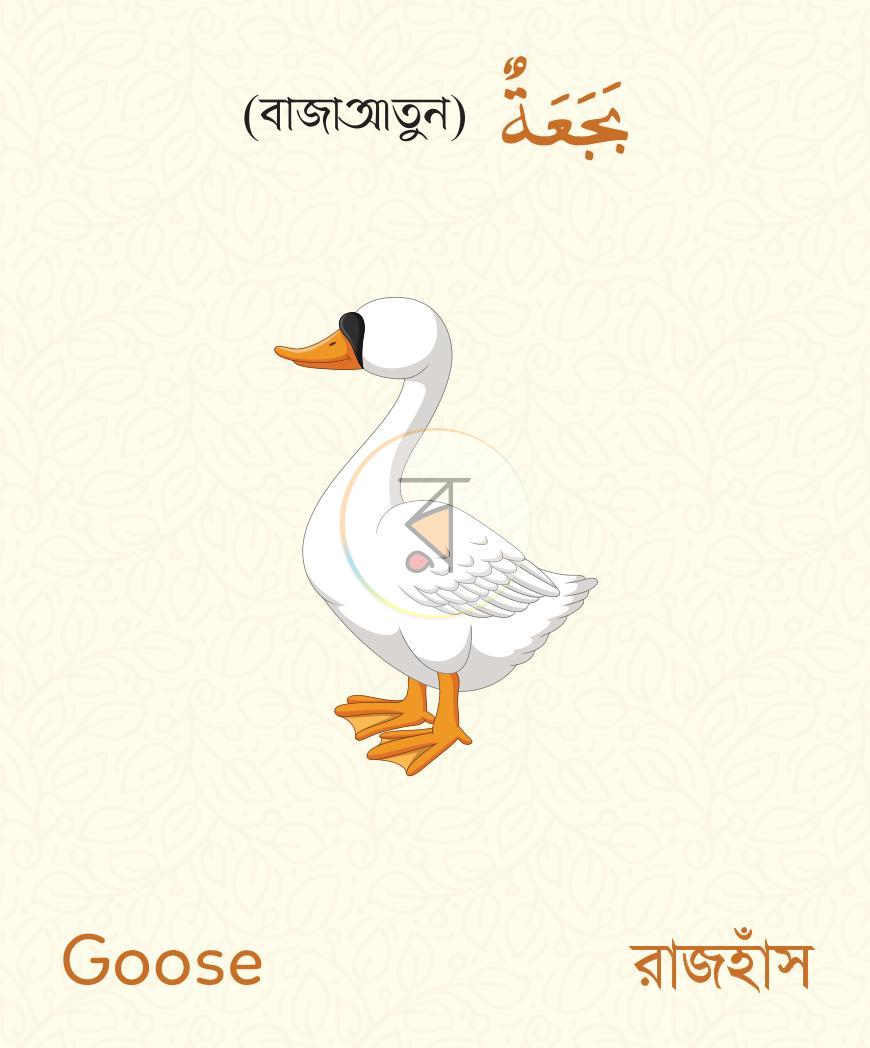 পাতা 4