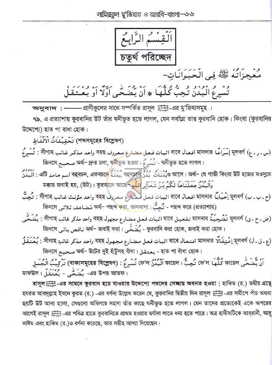 পাতা 12