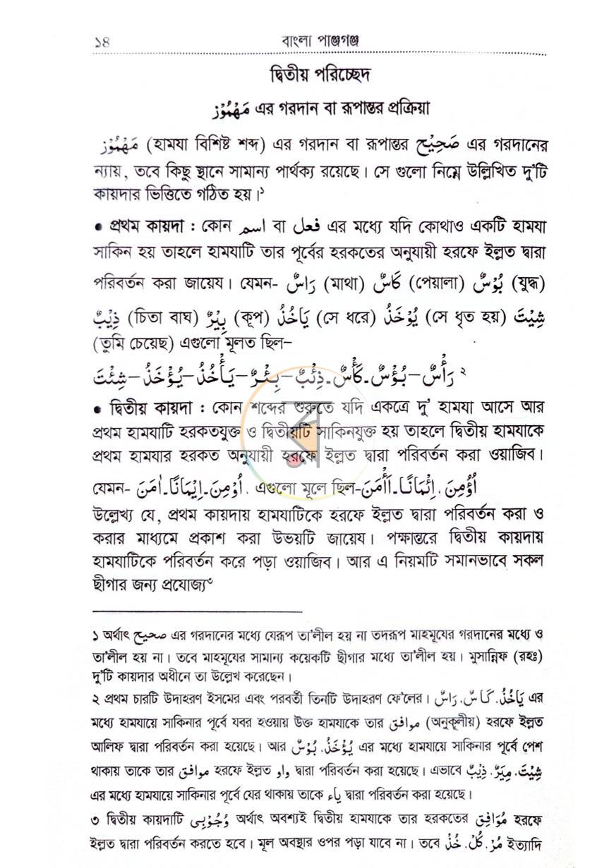 পাতা 8