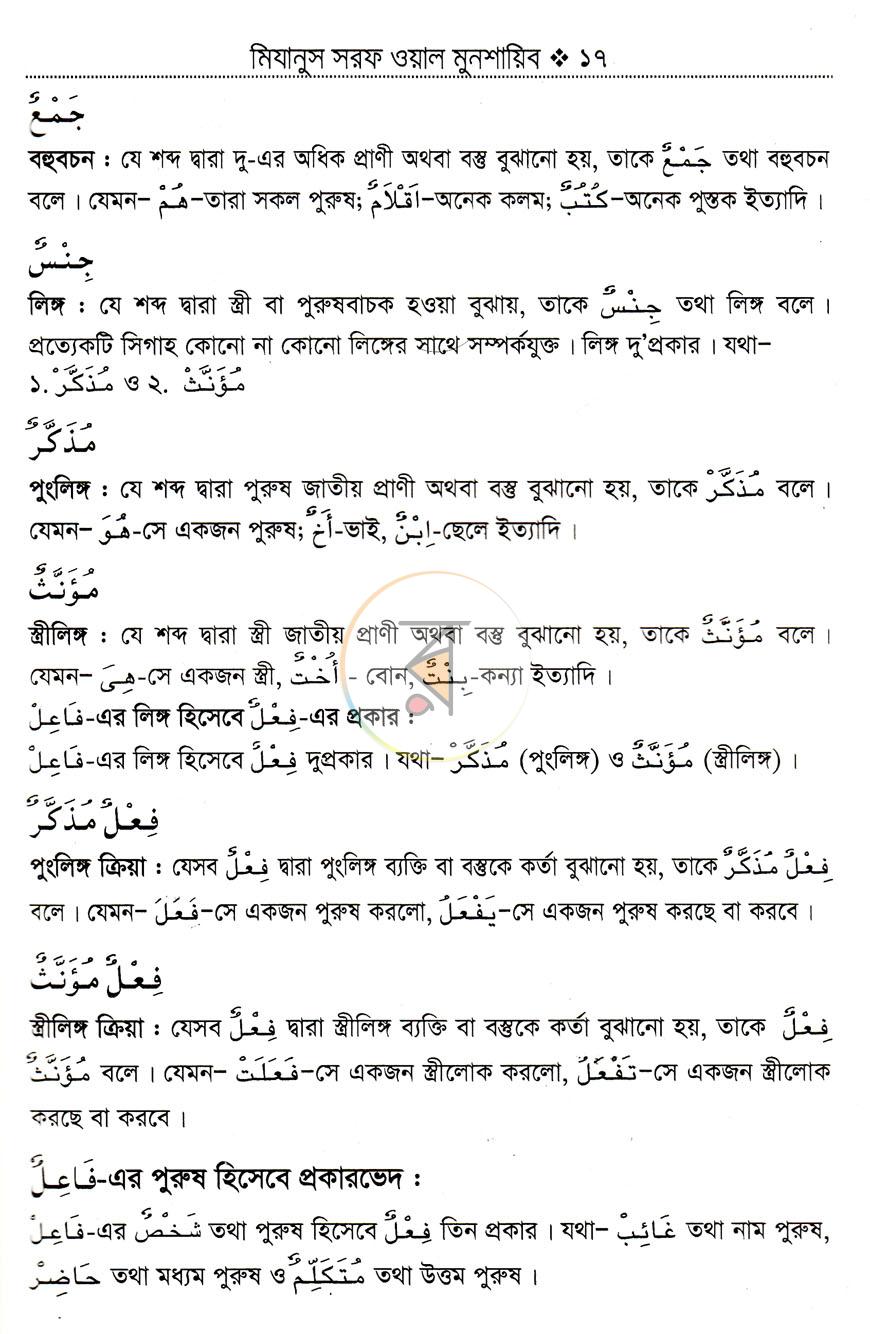 পাতা 13