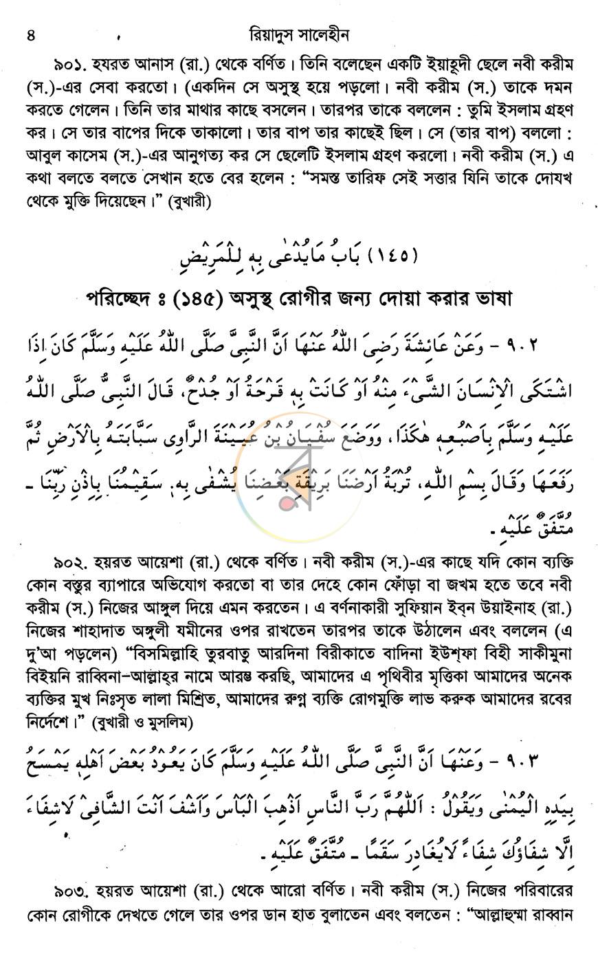 পাতা 8