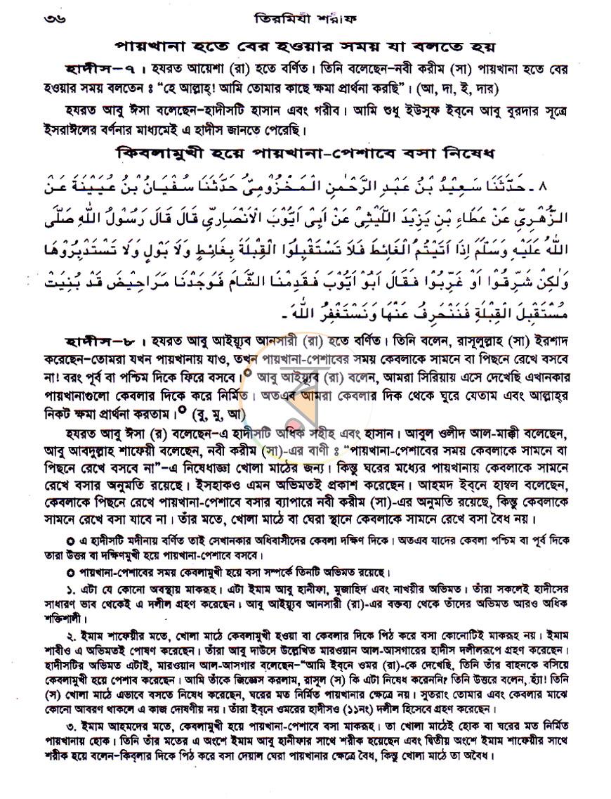 পাতা 11