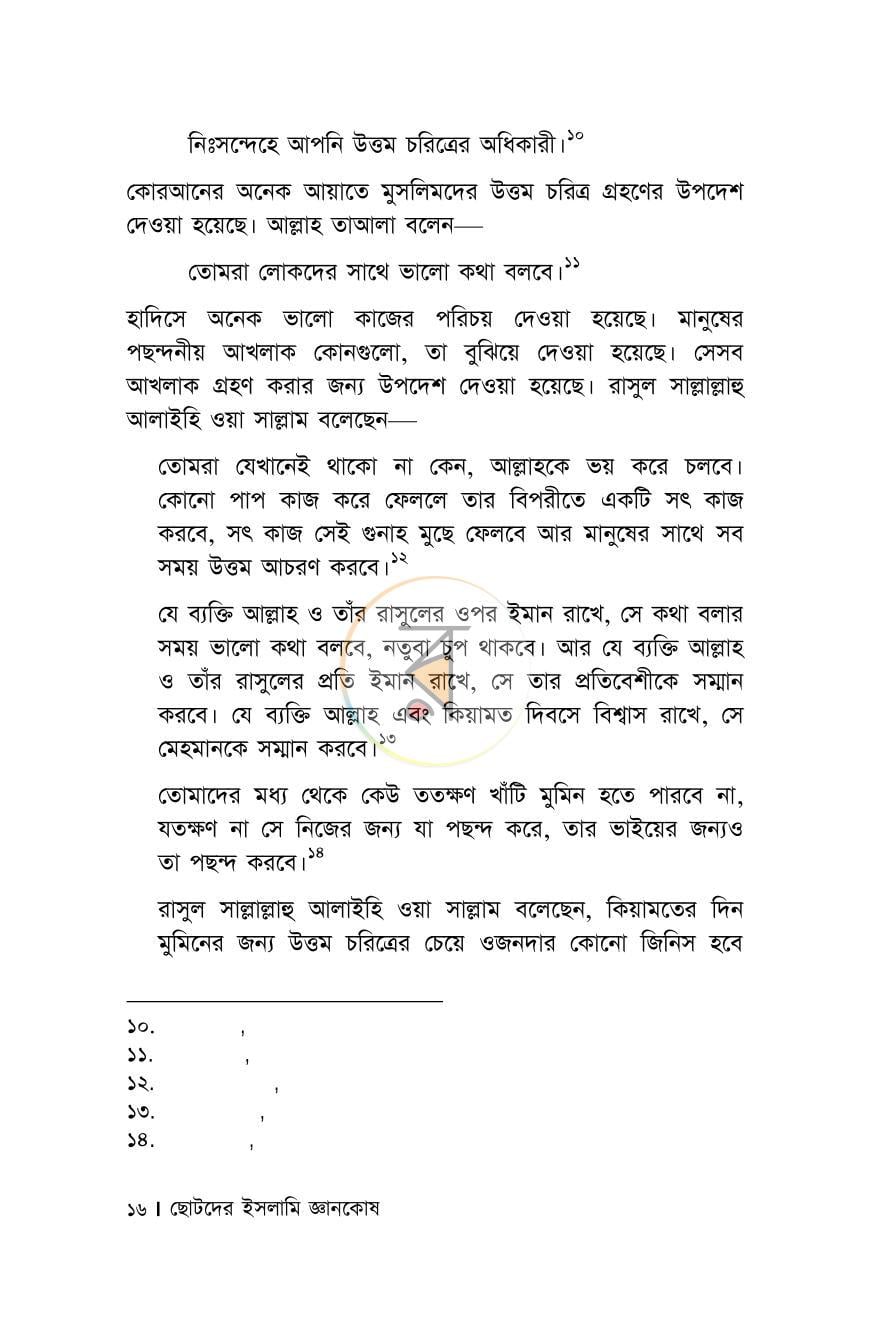 পাতা 13
