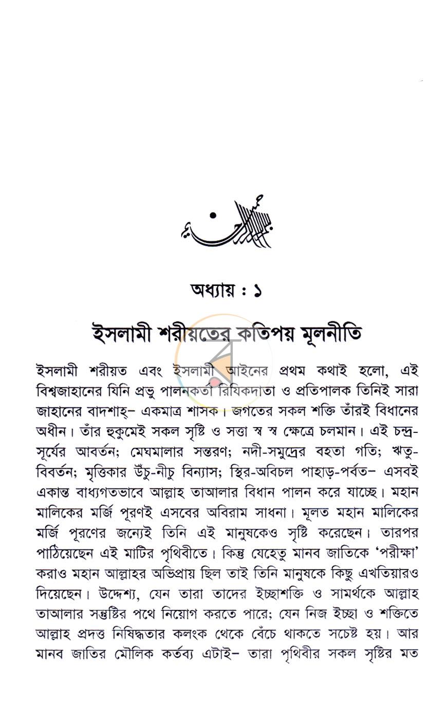 পাতা 14