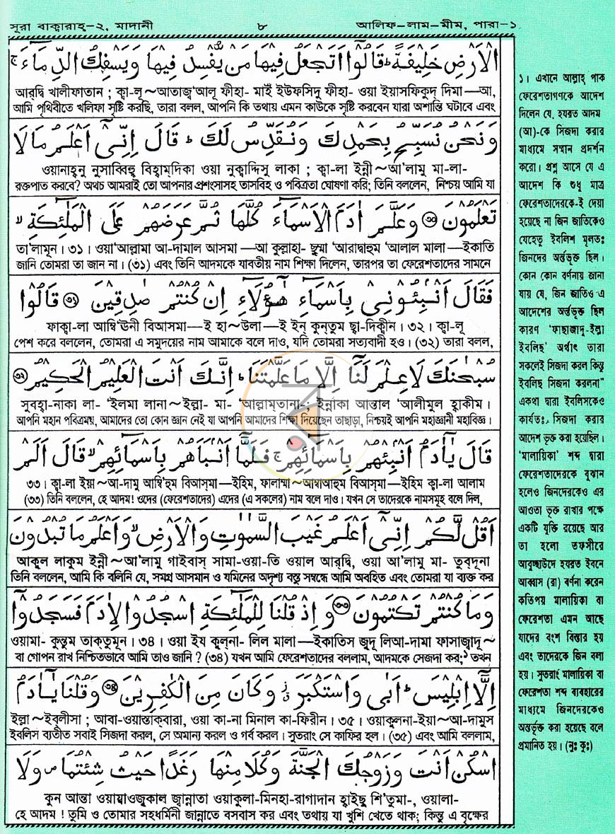 পাতা 11