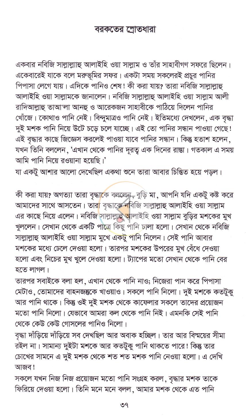 পাতা 13