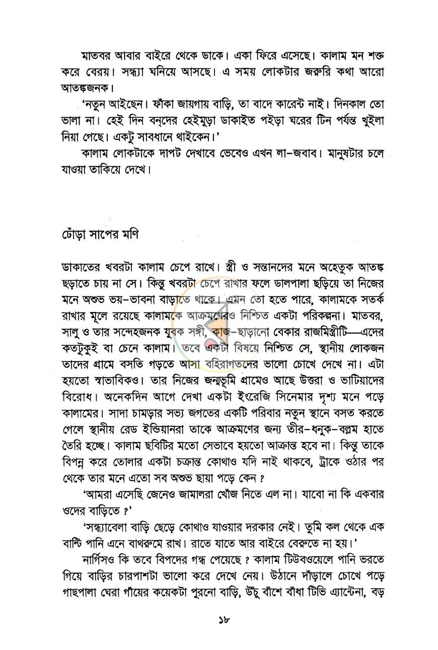 পাতা 13