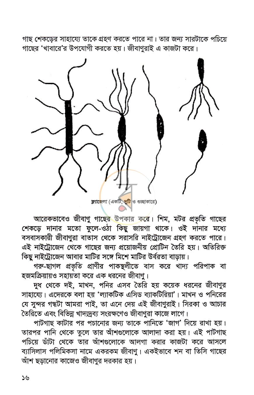 পাতা 10