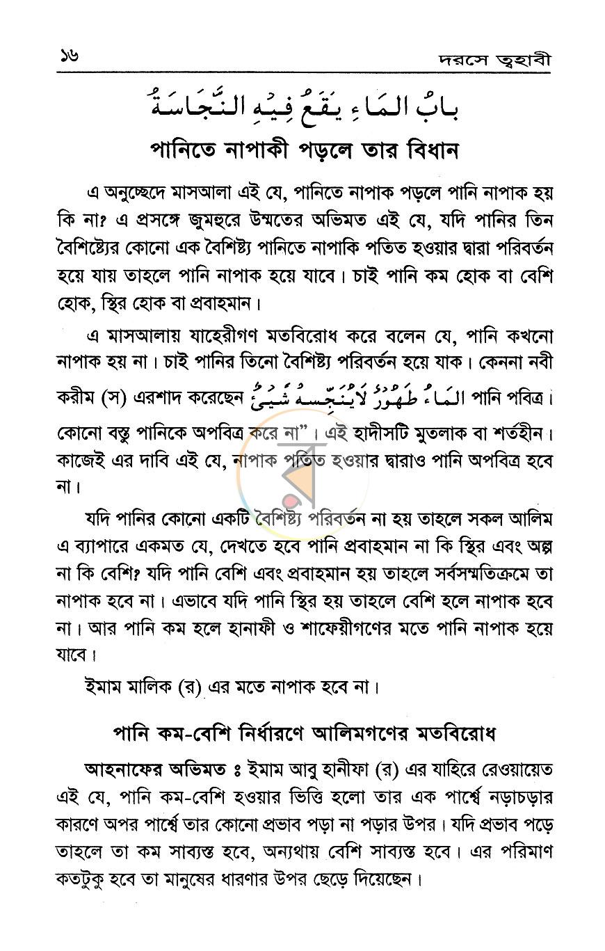 পাতা 10