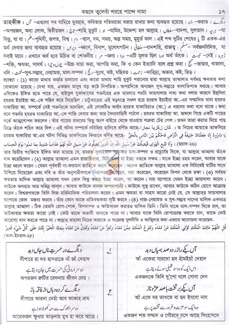 পাতা 10