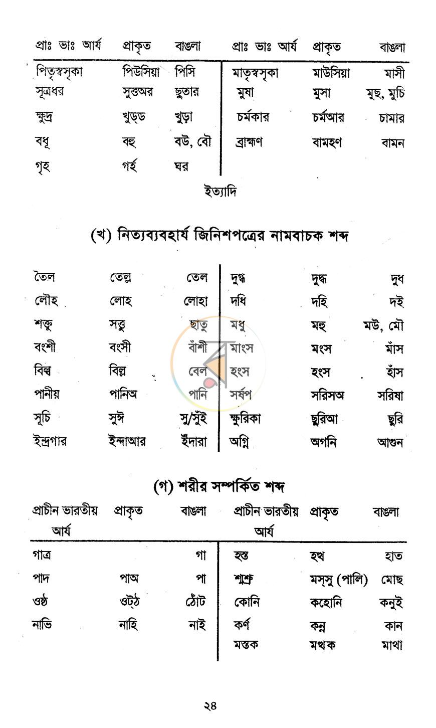 পাতা 13