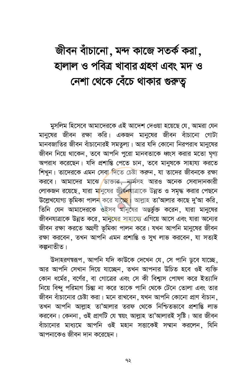 পাতা 13
