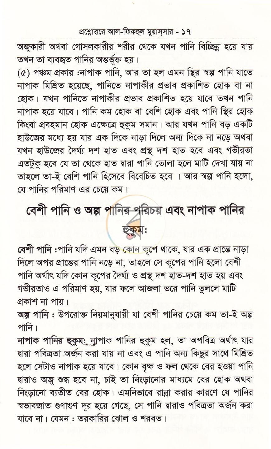 পাতা 13