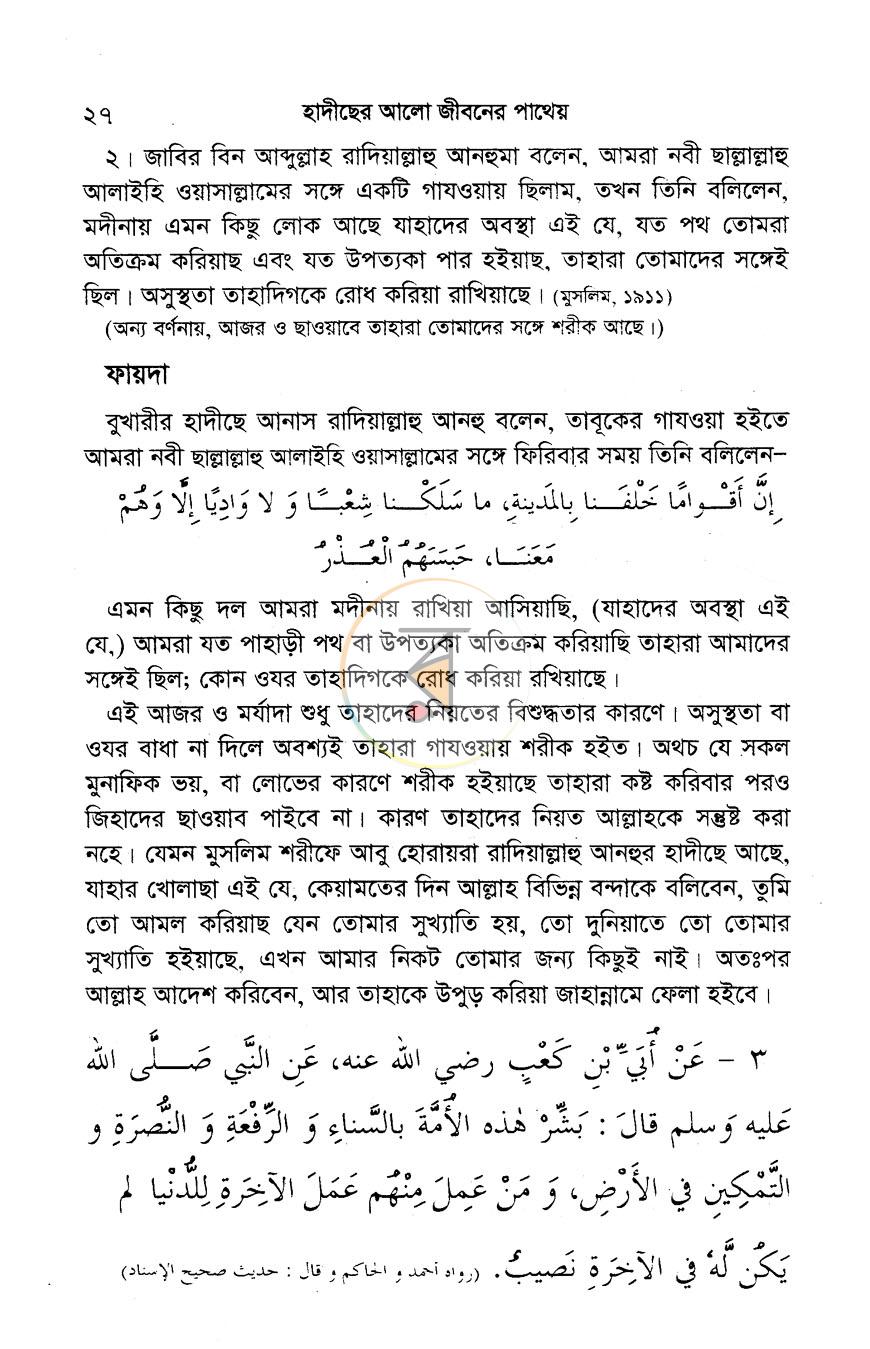 পাতা 11