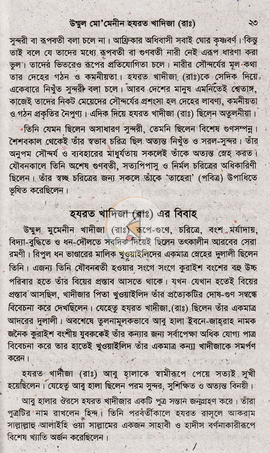 পাতা 8
