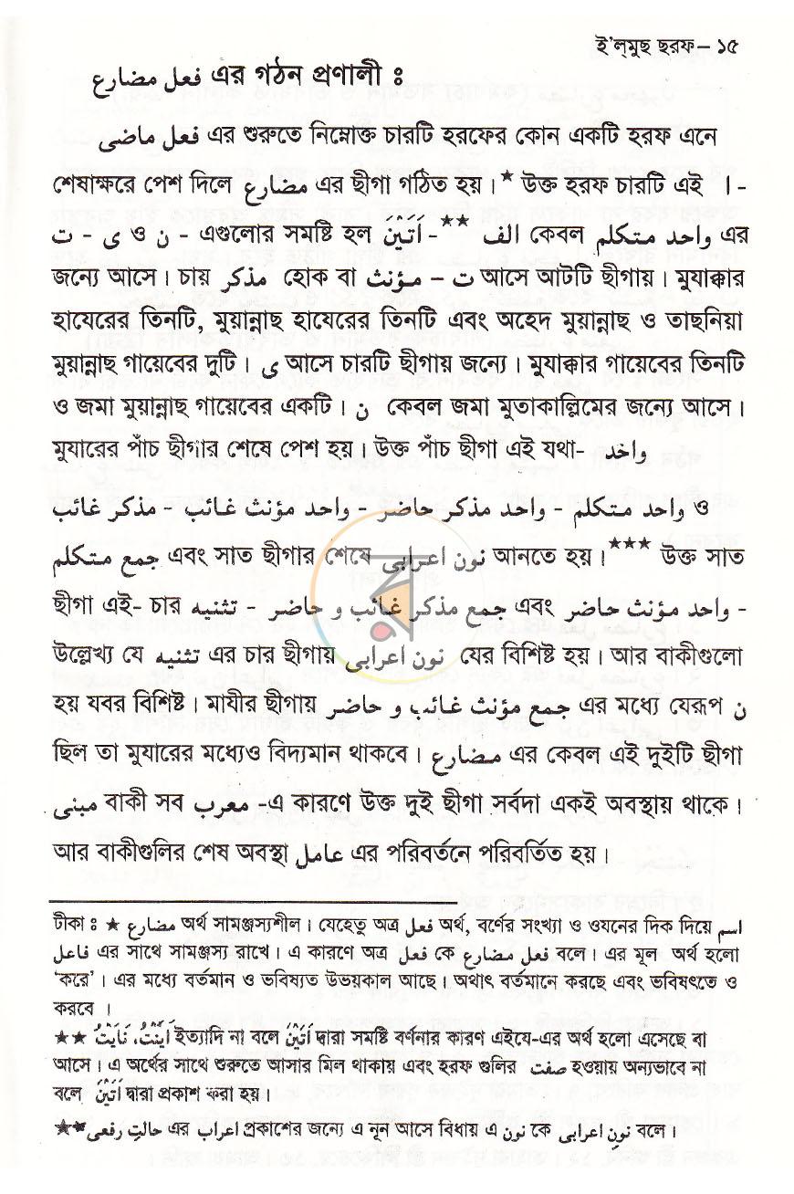 পাতা 13