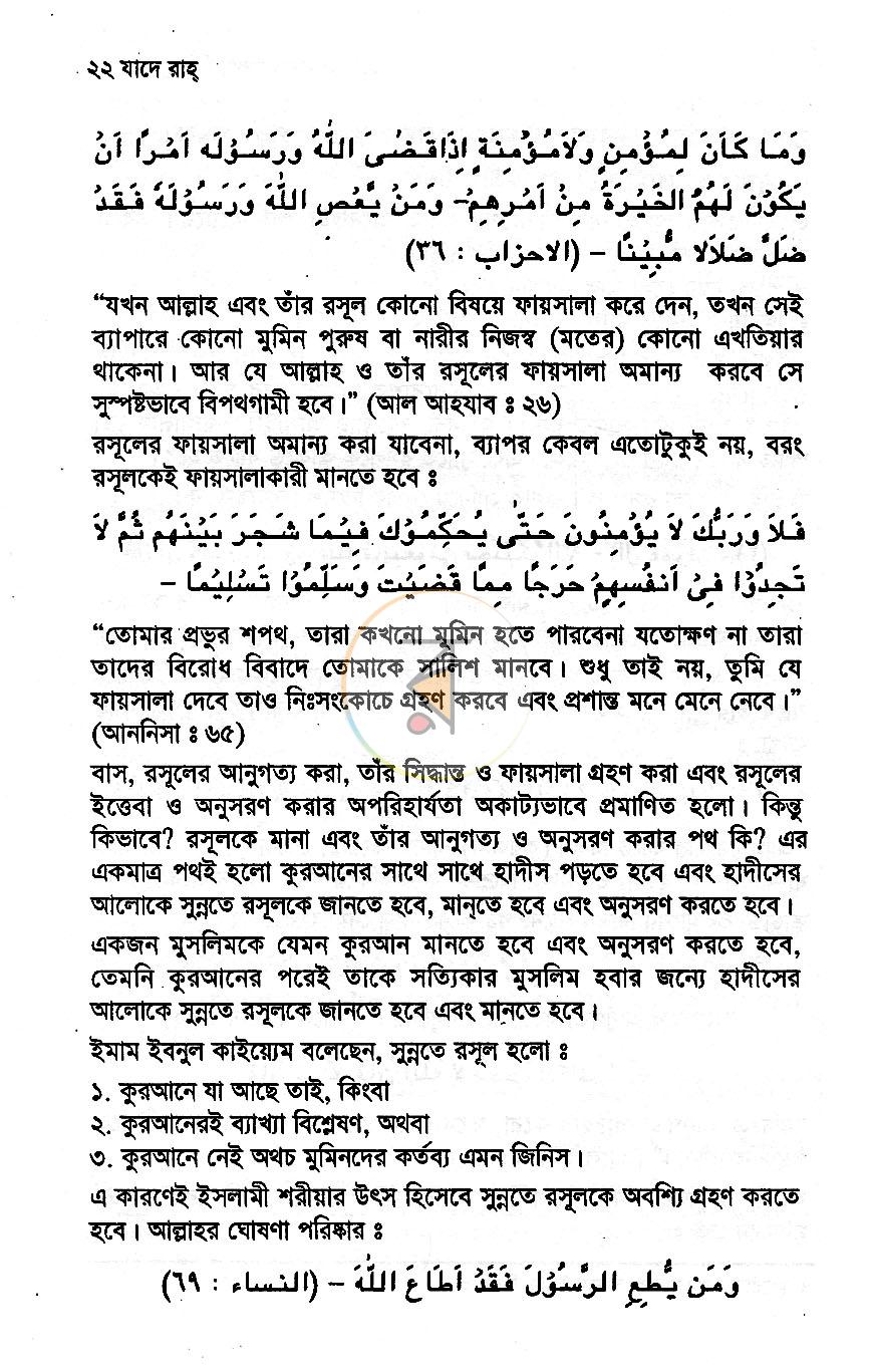 পাতা 11