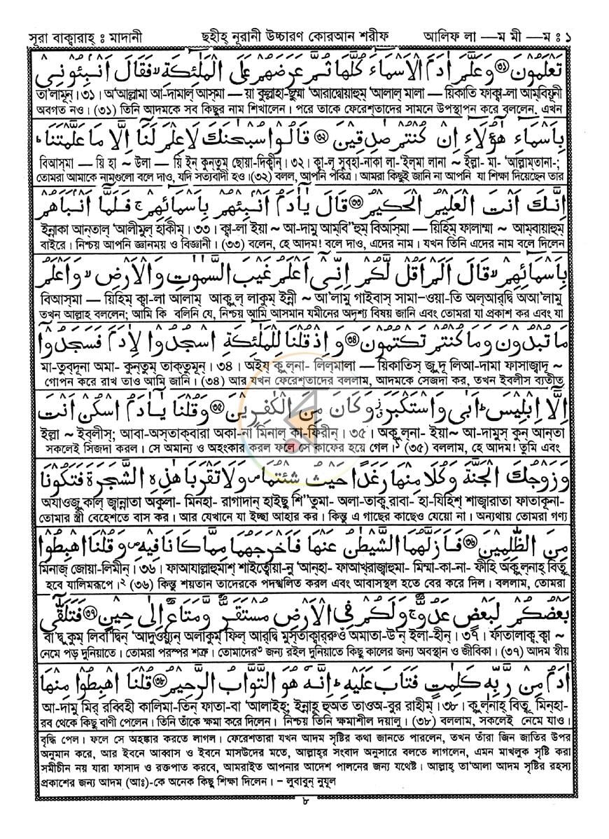 পাতা 13