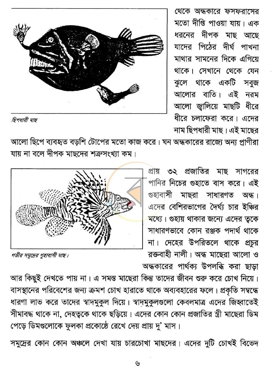 পাতা 4