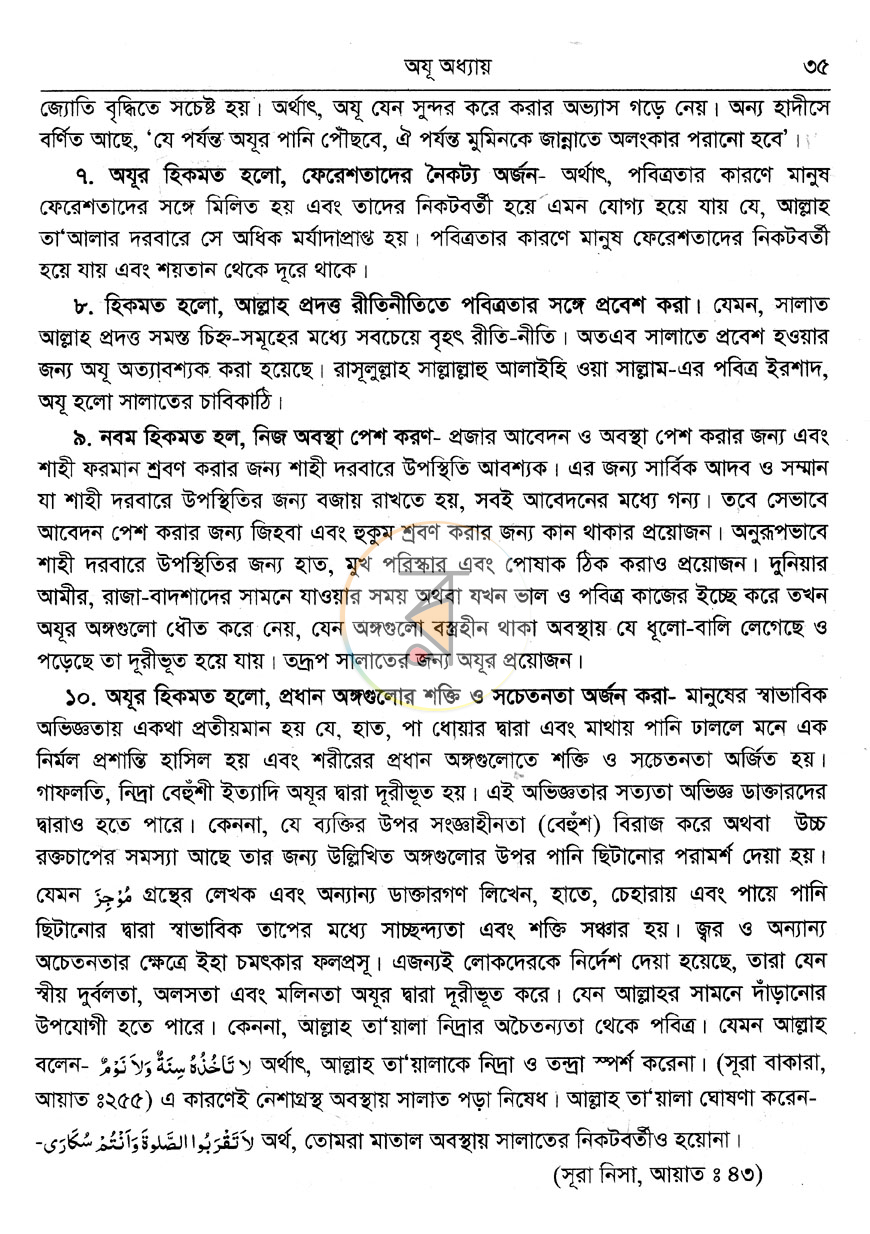 পাতা 11
