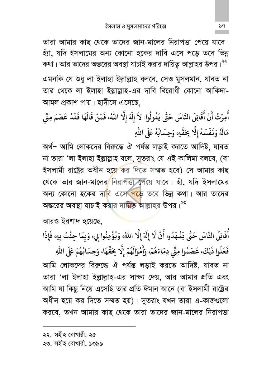 পাতা 13