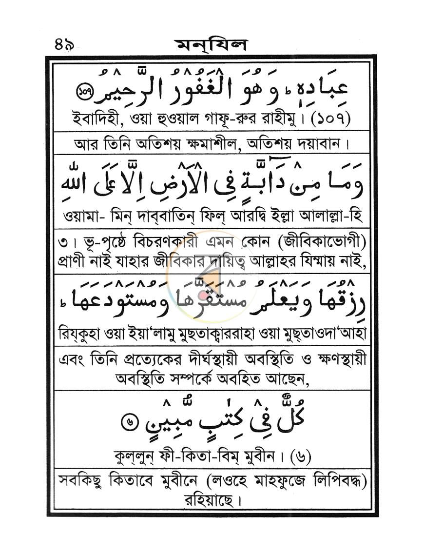 পাতা 8