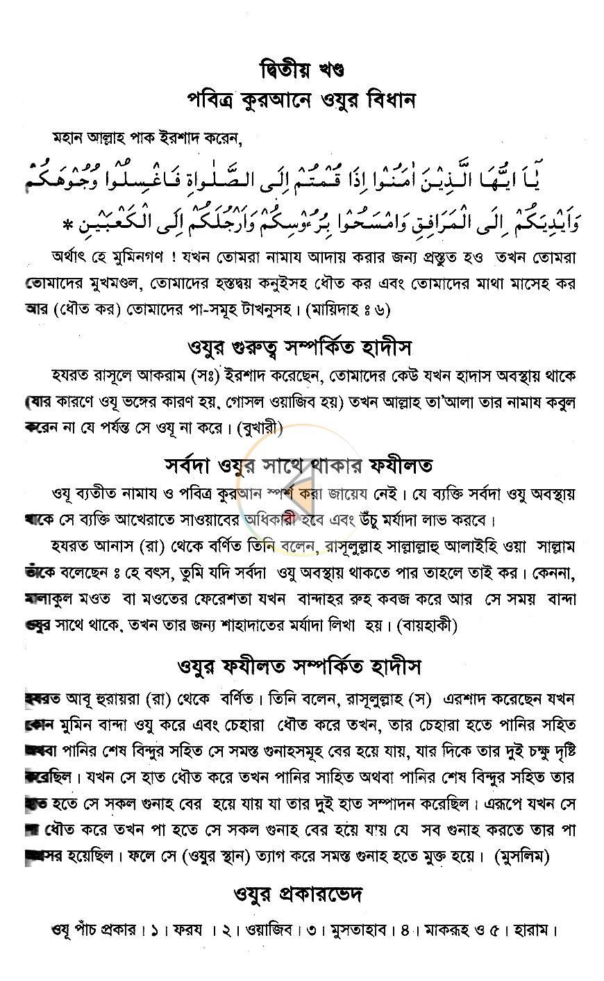 পাতা 12