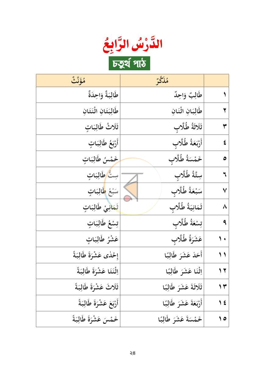 পাতা 8