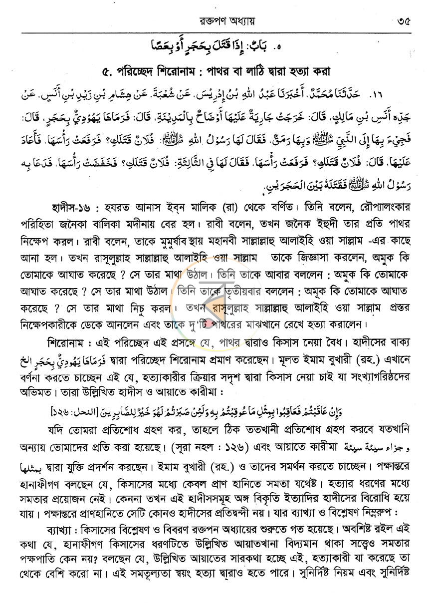 পাতা 10