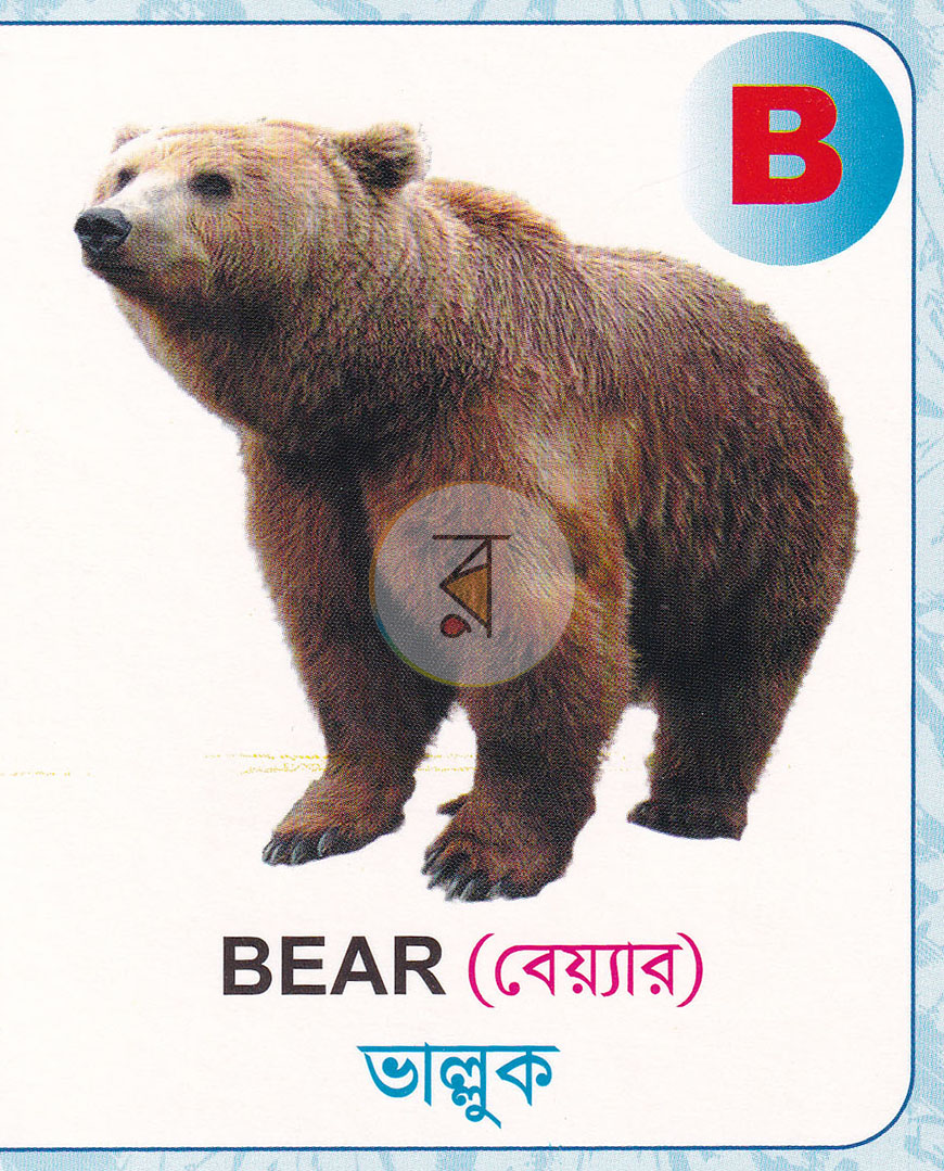 পাতা 2