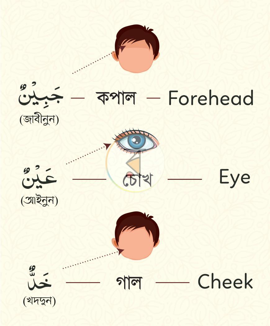 পাতা 3
