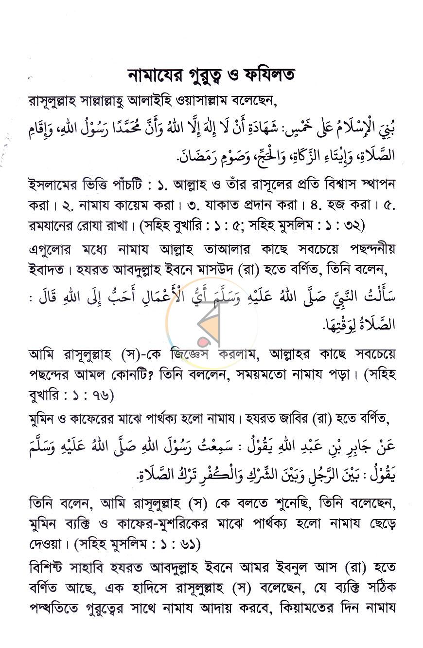 পাতা 12