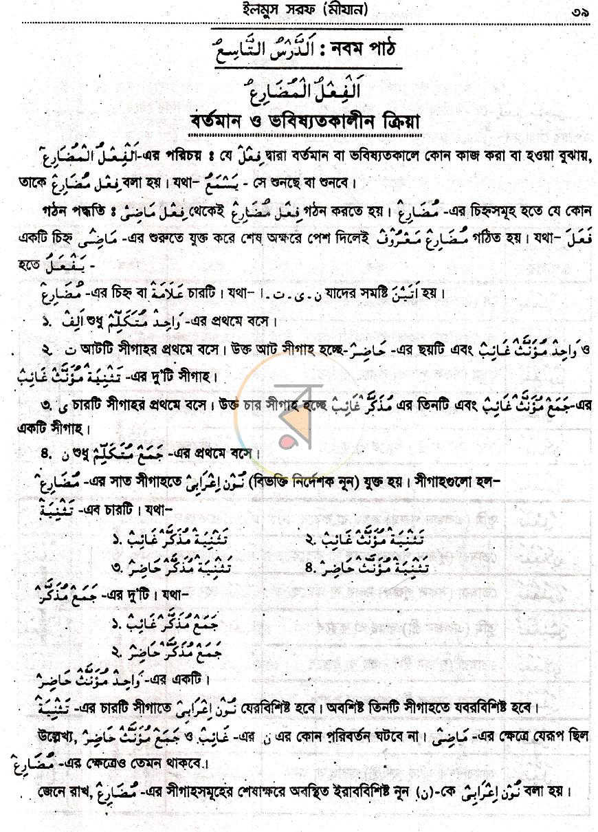 পাতা 11