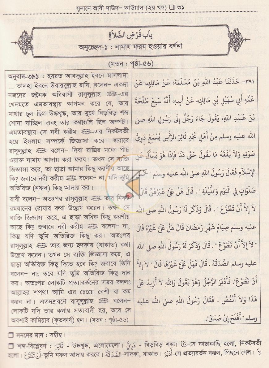 পাতা 11
