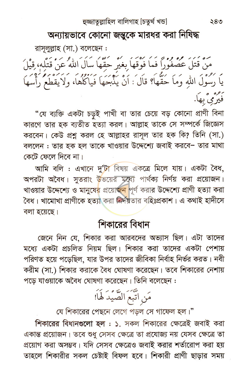 পাতা 11
