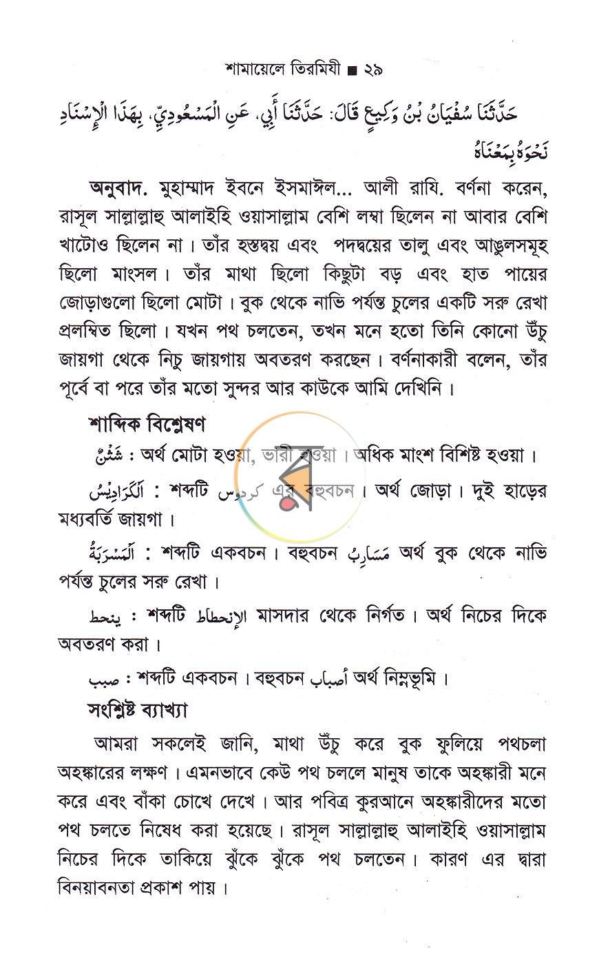 পাতা 10