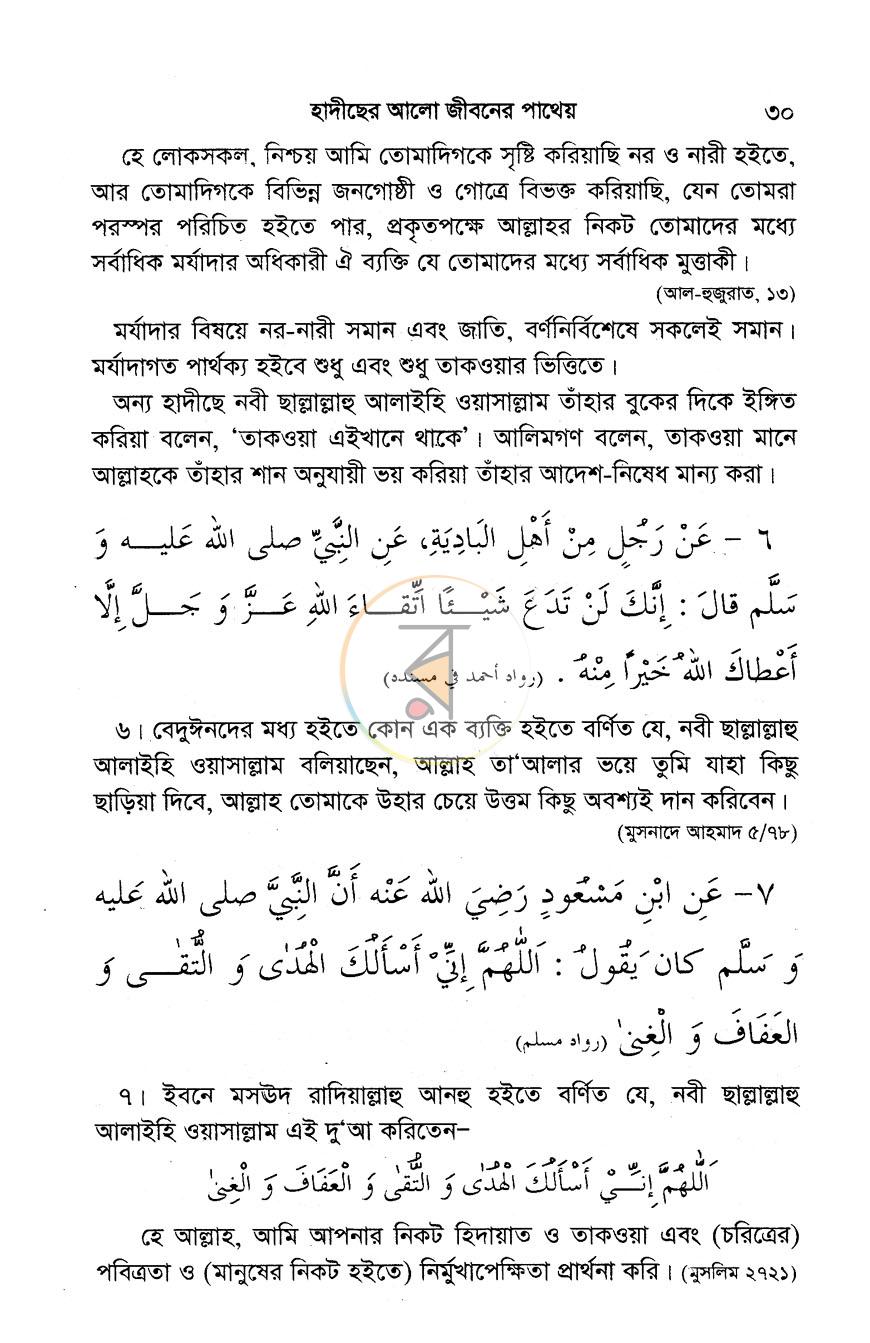 পাতা 13
