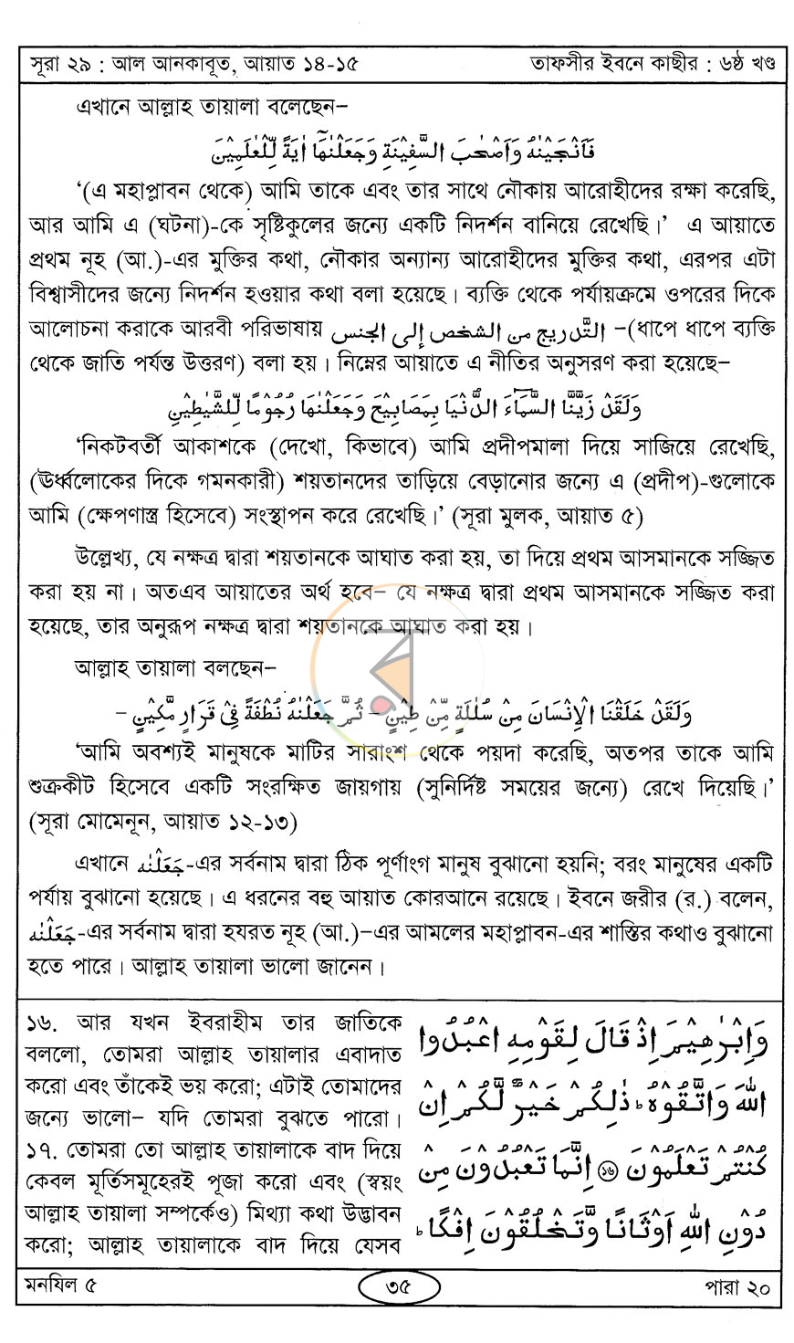 পাতা 11