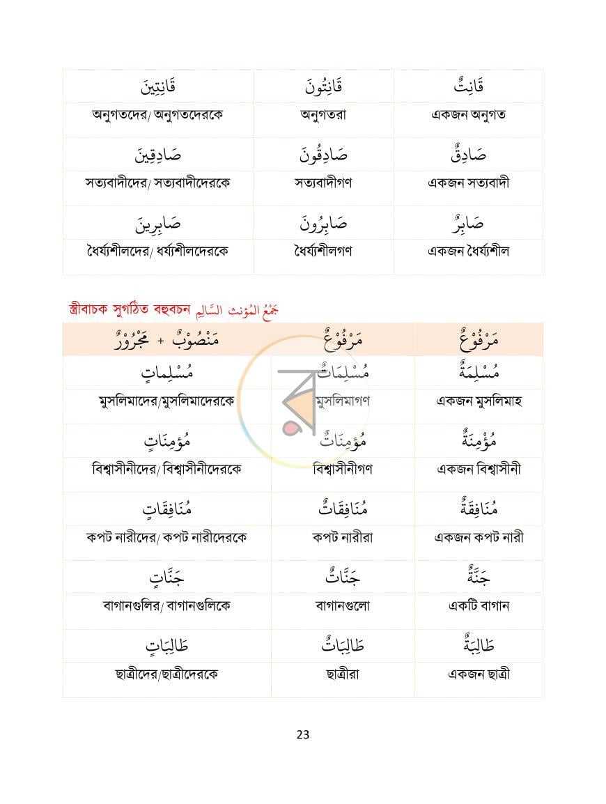 পাতা 24