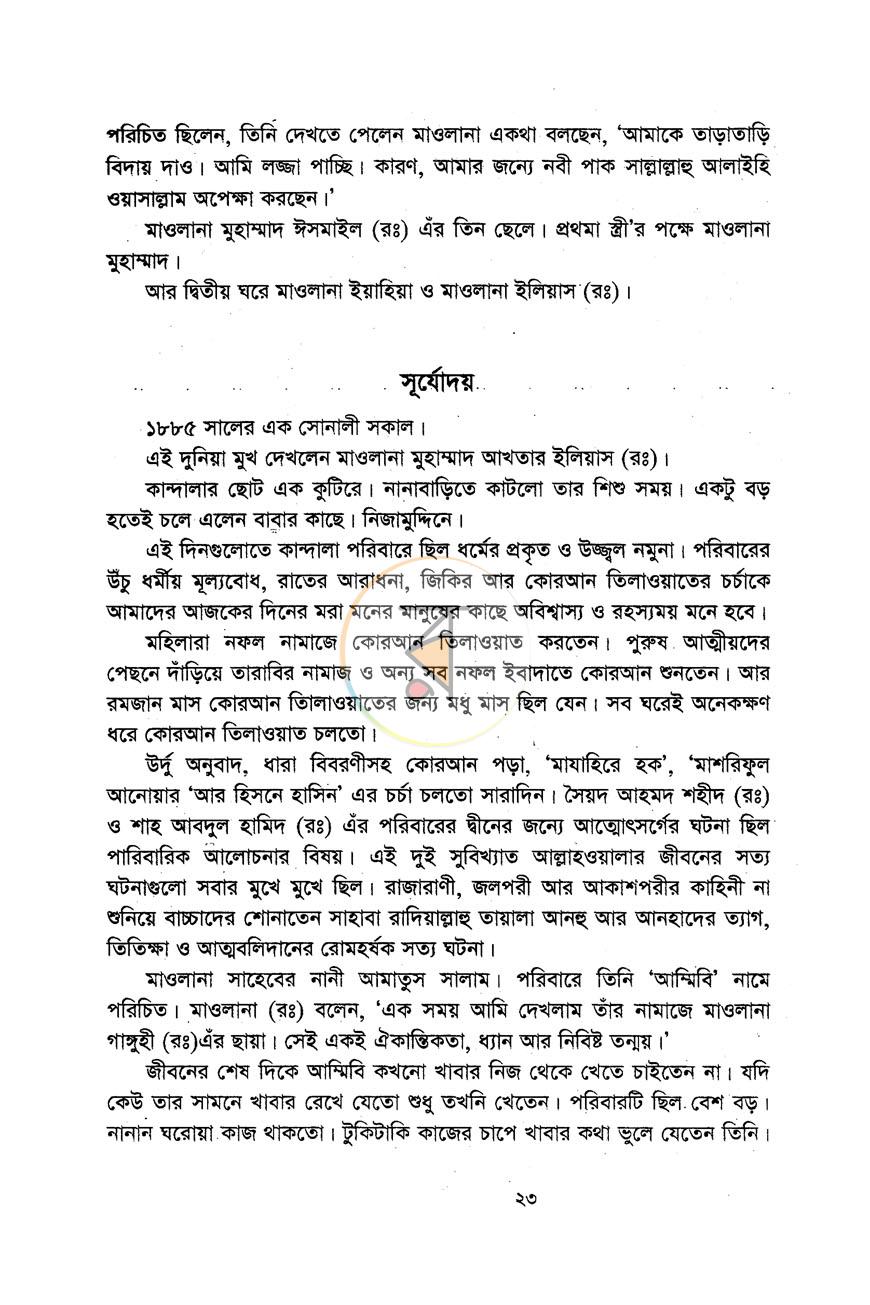 পাতা 11