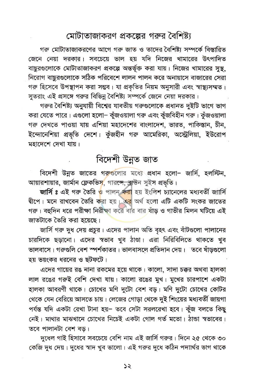 পাতা 11