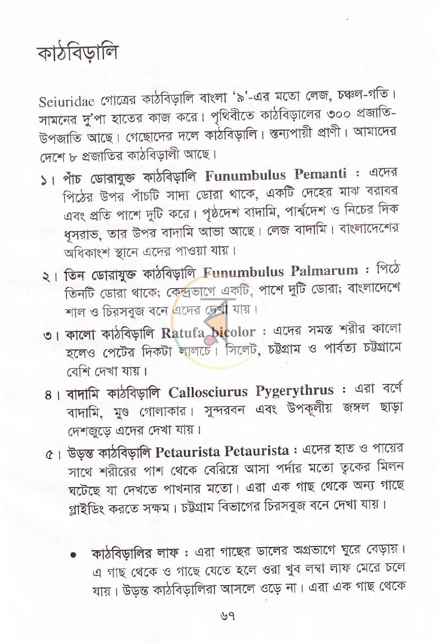 পাতা 14