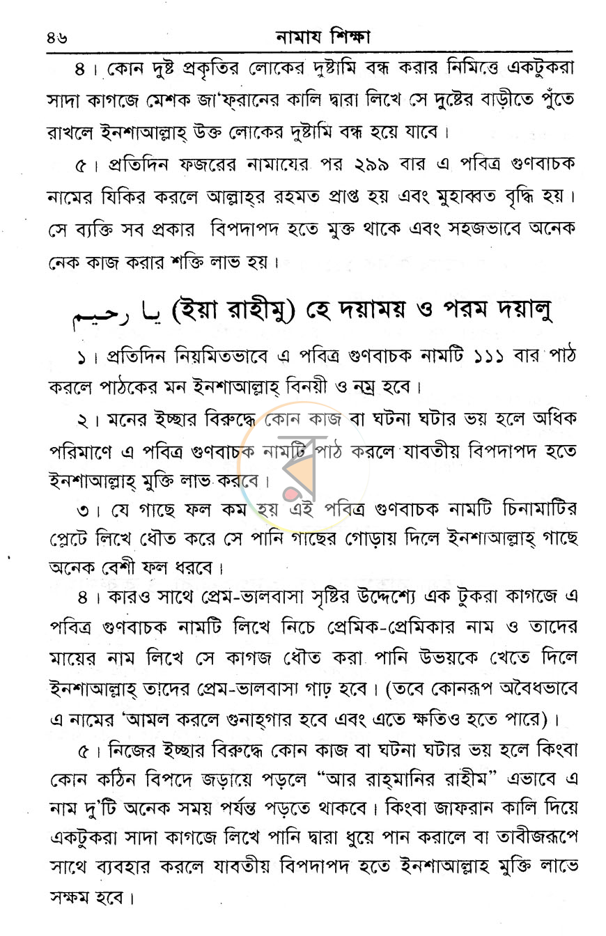 পাতা 11