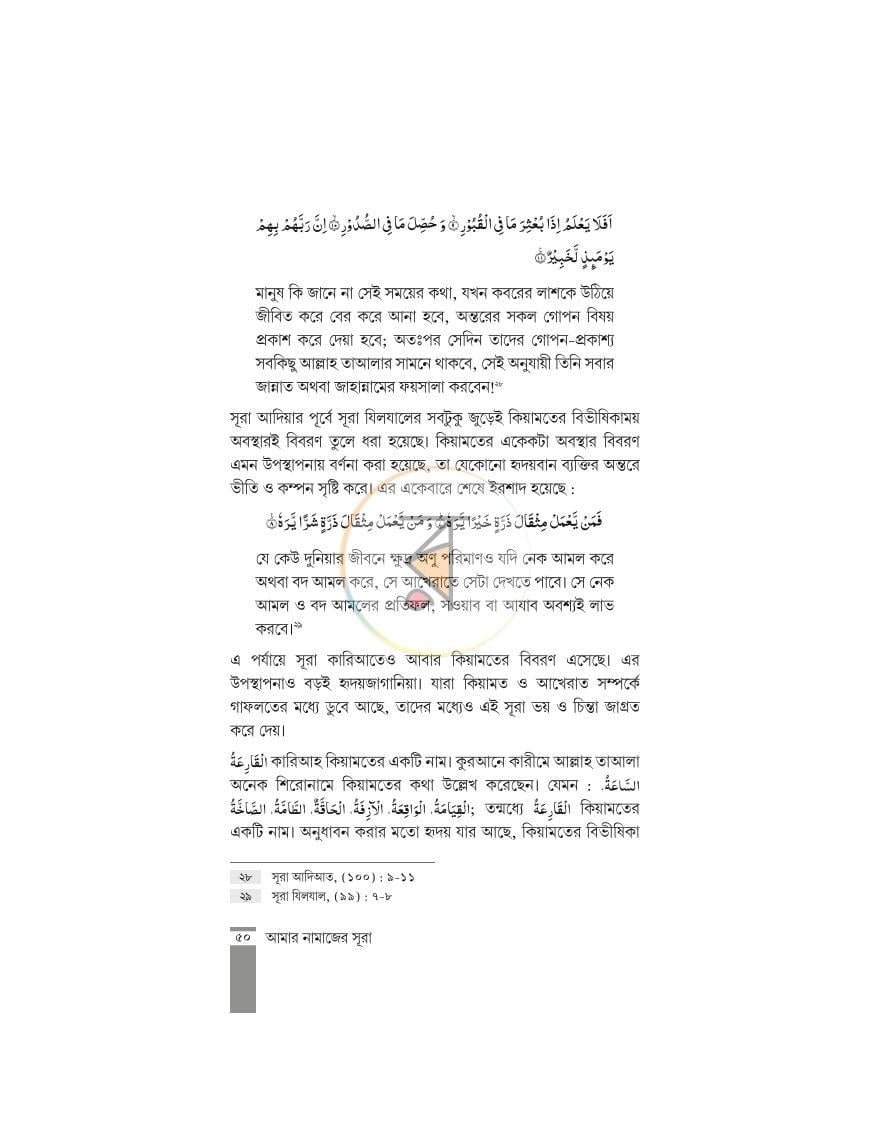 পাতা 11