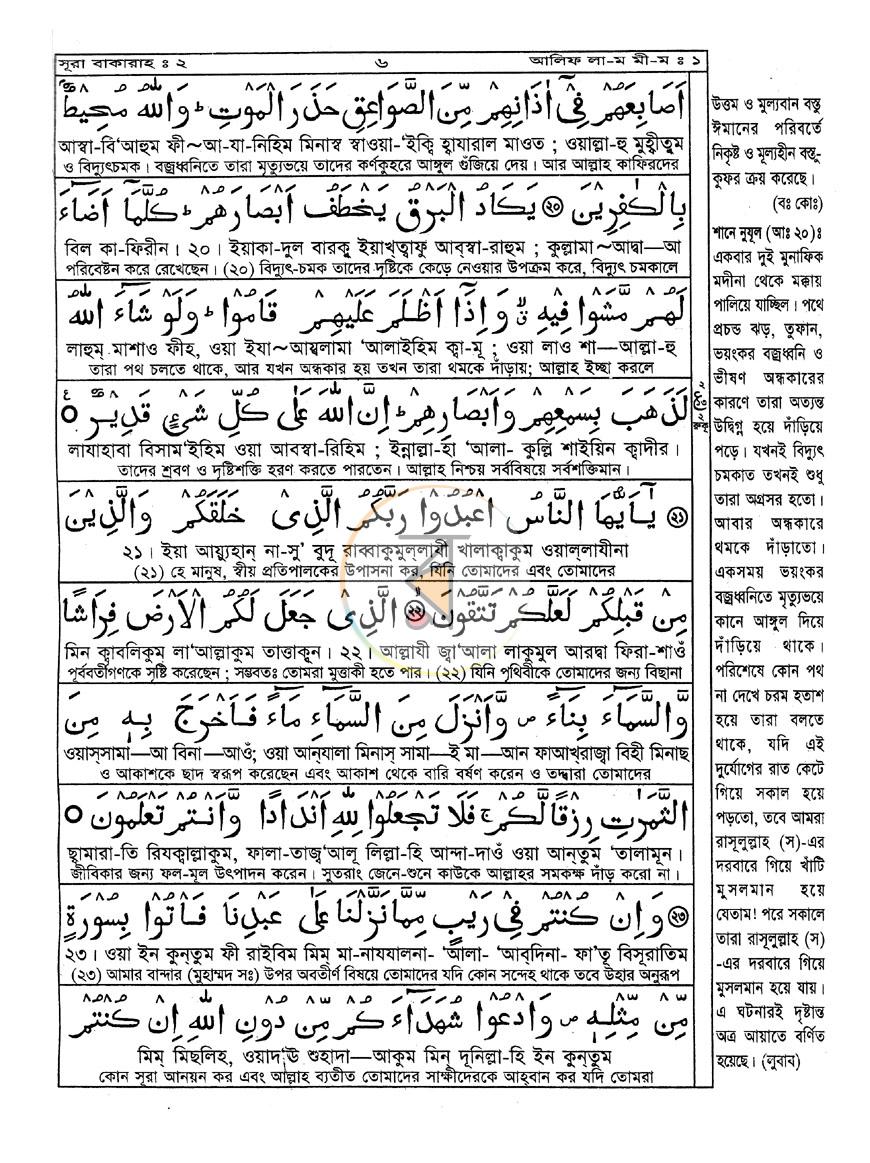 পাতা 11