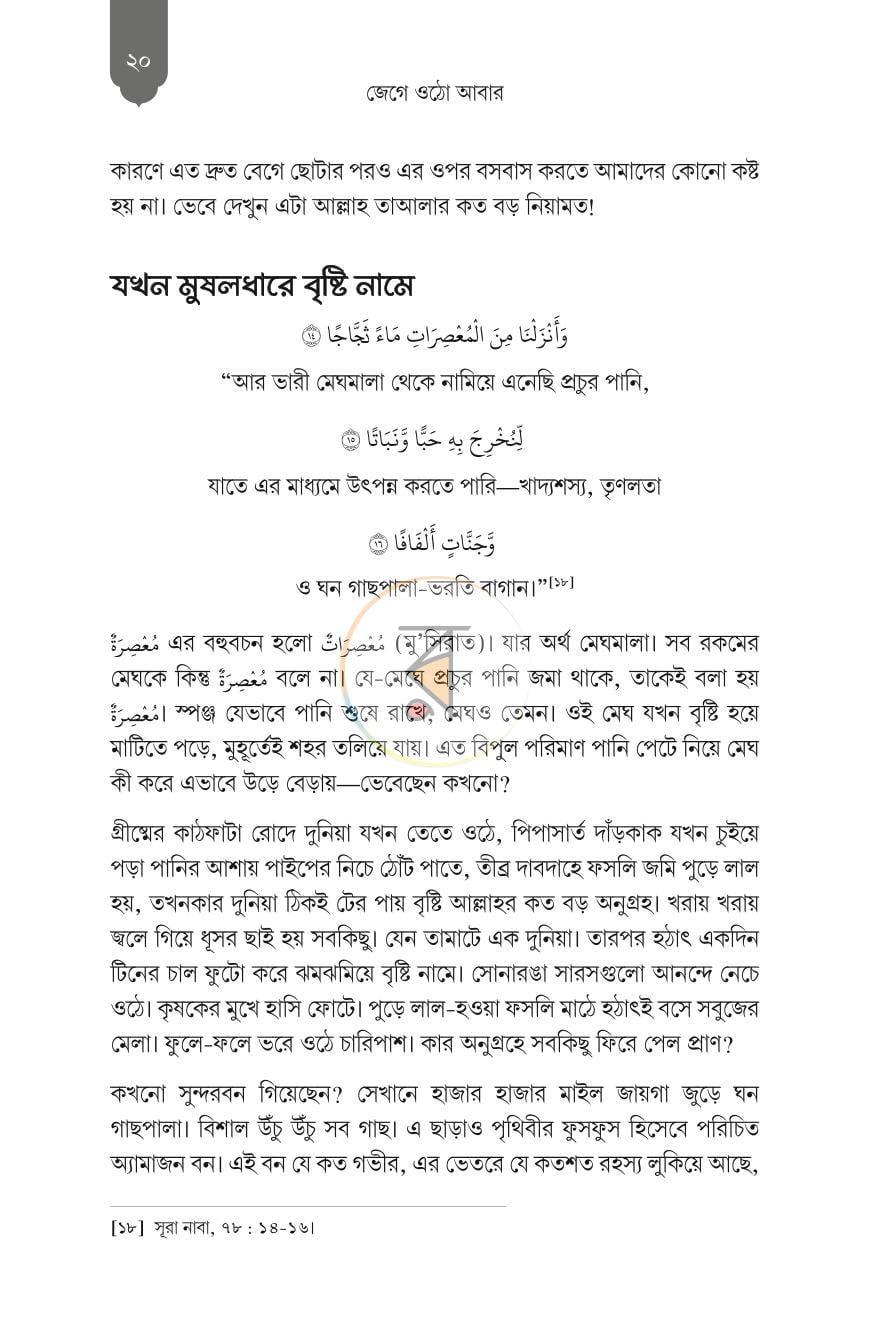 পাতা 13