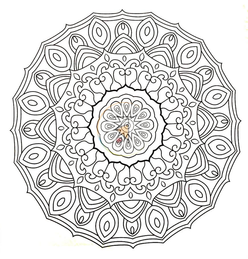 পাতা 5