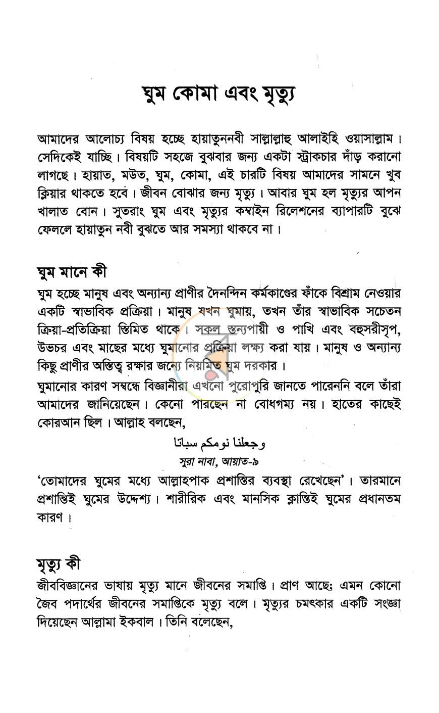 পাতা 11